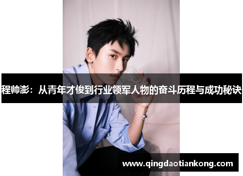 程帅澎：从青年才俊到行业领军人物的奋斗历程与成功秘诀